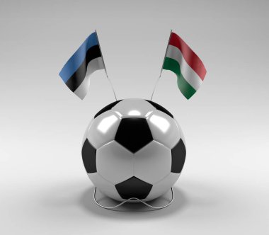 Estonya - Macaristan Futbol Bayrakları, Beyaz Arkaplan - 3D Render
