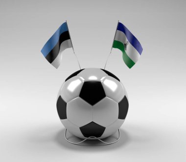 Estonya - Lesotho Futbol Bayrakları, Beyaz Arkaplan - 3D Render