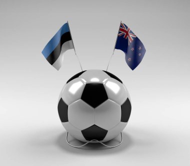 Estonya - Yeni Zelanda Futbol Bayrakları, Beyaz Arkaplan - 3D Render