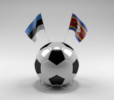 Estonya - Svaziland Futbol Bayrakları, Beyaz Arkaplan - 3D Render