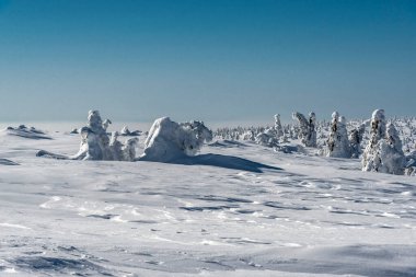 Güzel kış manzarası, Karkonosze dağları