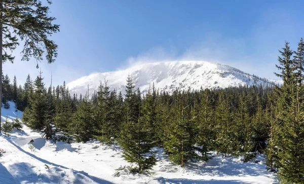 Hermoso Panorama Invierno Montañas Karkonosze —  Fotos de Stock