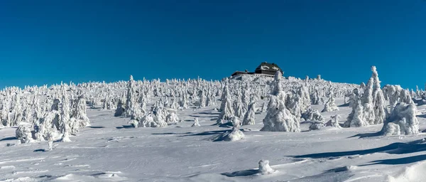 Piękna Zimowa Panorama Schroniskiem Karkonosze — Zdjęcie stockowe