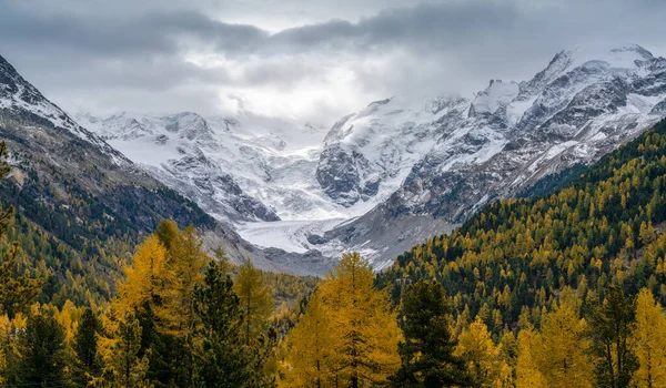 Una Vista Cordillera Bernina Día Nublado Con Muchos Árboles Coloridos — Foto de Stock