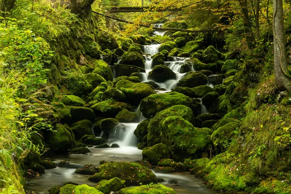 Muitas Pedras Cobertas Musgo Pequeno Riacho Exuberante Floresta Verde — Fotografia de Stock