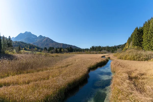 Táj Kilátás Nyílik Zelenci Természetvédelmi Terület Észak Szlovéniában Triglav Nemzeti — Stock Fotó