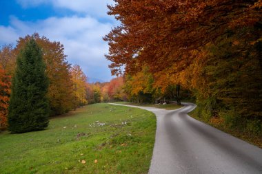 Dar, dolambaçlı bir yol manzaralı ve canlı bir sonbahar ormanına çıkar.