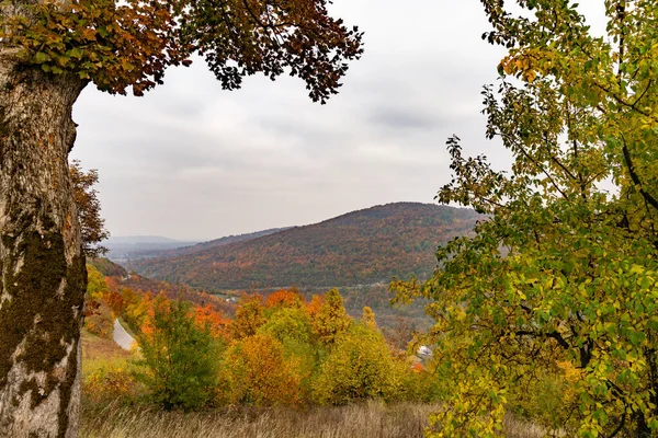 Landskap Färgglada Höstskog Kuperat Bergslandskap Baklandet Kroatien — Stockfoto