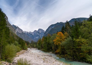 Sonbaharın sonlarında Triglav Ulusal Parkı 'nda güzel bir manzara. Renkli yapraklar ve ön planda Soca Nehri.