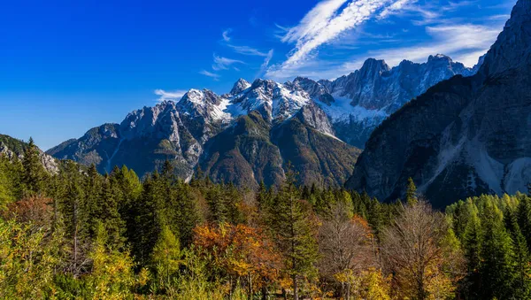 Sonbaharın sonlarında Triglav Ulusal Parkı 'nda güzel bir dağ manzarası ve renkli yaprakları var.