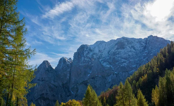 Sonbaharın sonlarında Triglav Ulusal Parkı 'nda güzel bir dağ manzarası ve renkli yaprakları var.