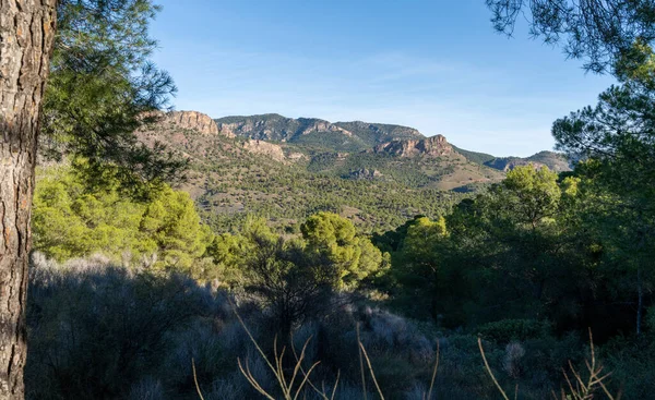 Landscape View Spanish Semi Desert Low Green Vegetation Small Mountains — Stock Photo, Image