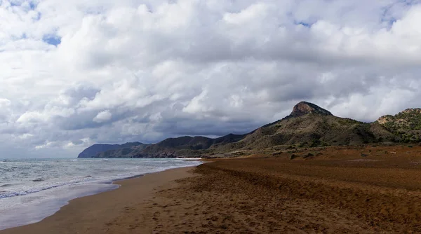 Arkasında anlamlı bir gökyüzü bulunan altın kahverengi kumlu bir sahil manzarası.