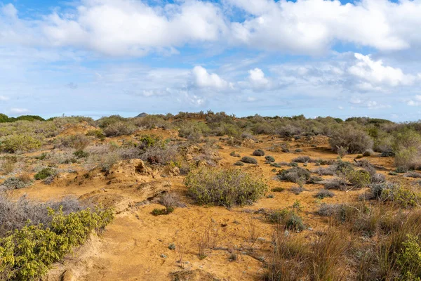 Güney Murcia 'daki Calblanque Bölgesel Parkı' ndaki kum tepeciği ekosisteminin manzarası