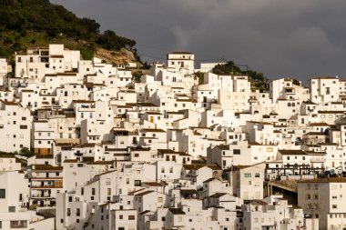 Casares, Spain - 25 February, 2022: detail view of the whitewashed houses in the village of Casares in Andalusia clipart