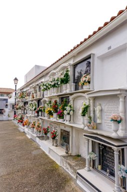 El Burgo, İspanya - 20 Şubat 2022: El Burgo 'daki tarihi Roma Katolik mezarlığına mezarları ve anıtsalları olan manzara