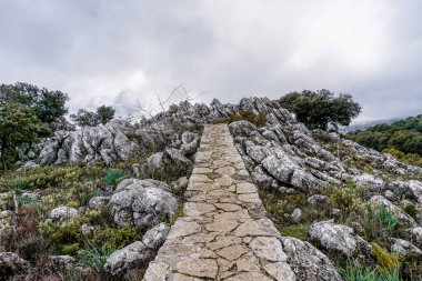 Sierra de las Nieves dağlarındaki Mirador del Guarda Ormanı manzarası