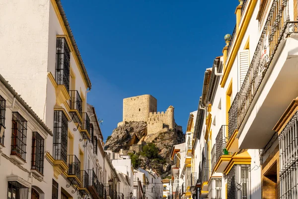 Uitzicht Het Pittoreske Witgekalkte Dorpje Olvera Andalusië Met Het Kasteel — Stockfoto