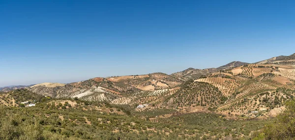 Panorama View Hilly Farmland Backcountry South Spain — Stock Photo, Image