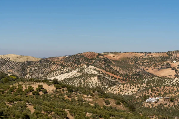 Una Vista Las Tierras Labranza Montañosa Campo Sur España — Foto de Stock
