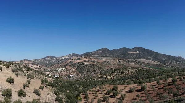 Panorama View Hilly Farmland Backcountry South Spain — Stock Photo, Image