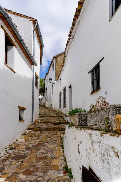 Castellar Frontera España Marzo 2022 Estrecha Calle Peatonal Llena Plantas —  Fotos de Stock