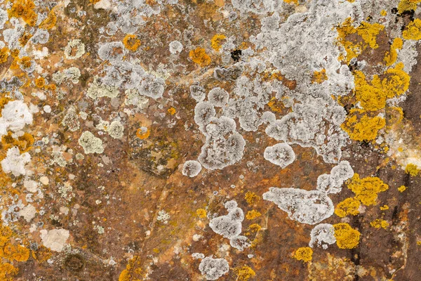 Una Vista Abstracta Roca Granito Con Liquen Colorido Musgo — Foto de Stock