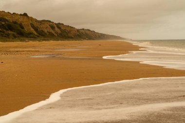 Güzel, uzun ve boş bir sahil manzarası kıyı arası ve yüksek kum tepeleri ve havada sahara tozu.