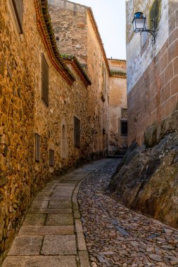 Caceres, İspanya - 30 Mart 2022: Eski şehir merkezi Caceres 'deki tarihi eski binalardan geçen dar kaldırım taşı caddesi