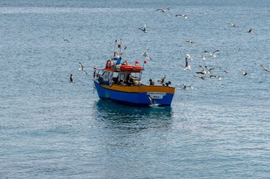 Peniche, Portekiz - 2 Nisan 2022: Portekiz açıklarında küçük bir balıkçı teknesi üzerinde martılar kavga ediyor.