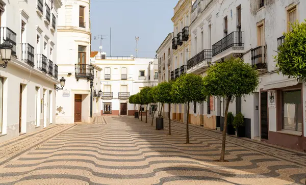 Olivenza Spain March 2022 Orange Trees Whitewashed Buildings Blue Sky — Stock Photo, Image