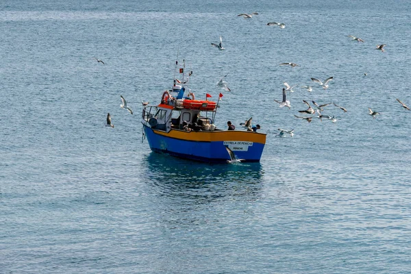 Peniche Portugal April 2022 Seagulls Fighting Fish Small Fishing Boat — Stock Photo, Image