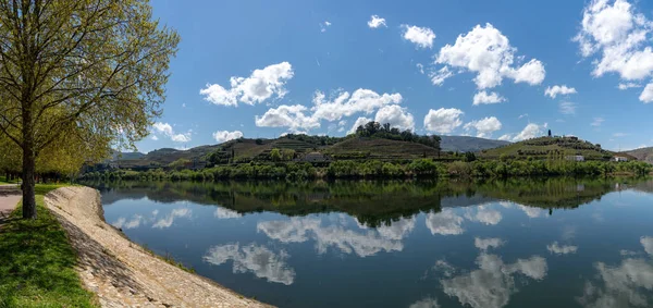 Una Vista Panorámica Del Paisaje Del Río Duero Con Viñedos —  Fotos de Stock