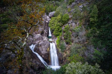 Portekiz 'deki Peneda-Geres Ulusal Parkı' ndaki Cascata do Arado şelalesi manzarası