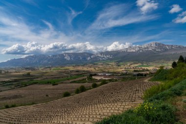 A landscape view of vineyards and mountains in the La Rioja Alavesa region of northern Spain