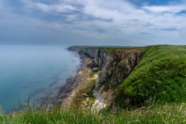 İngiltere 'nin Kuzey Denizi kıyısındaki Flamborough Head' deki kayalıkların manzarası.
