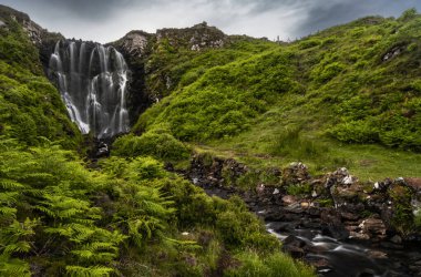 Yaz ortasında İskoçya 'daki Clashniesse Şelalesi manzarası ön planda yemyeşil eğreltiotu