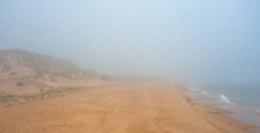 Kum tepeleri ve yoğun sis altında sakin bir okyanusla altın bir kumsal.