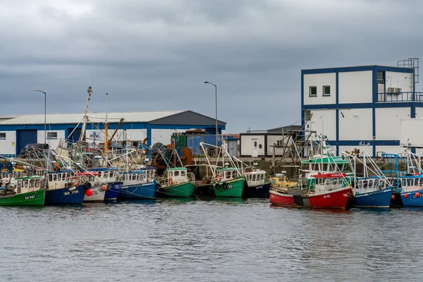Greencastle Ireland July 2022 Colorful Fishing Boats Trawlers Sheltered Port — Stockfoto