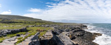 A panorama view of the glaciokarst coastal landscape of the Burren Coast in County Clare of western Ireland