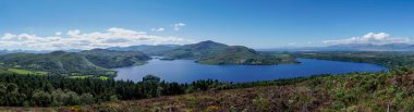 A panroama landscape of colorful summer heath with a view of Caragh Lake and the mountains of the Dingle Peninusla in County Kerry