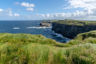 County Clare 'deki Kilkee uçurumlarındaki engebeli kıyı manzarası ve uçurumlar