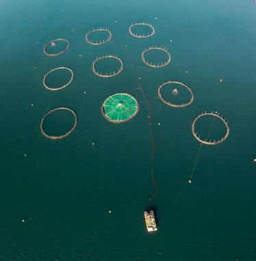 Su ürünleri, balık kafesleri ve derin mavi sulardaki ağların tepeden tırnağa görüntüsü
