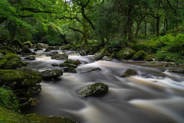 Eine Idyllische Und Üppige Waldlandschaft Durch Die Ein Fluss Über — Stockfoto