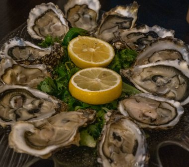 Bir düzine taze Carlingford istiridyesi ve marullu limon yarısının yakın plan görüntüsü.