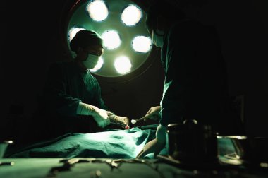 Forceps 'te pamuk tutan iki doktor ya da cerrah ve makası kasten ameliyat ederken ameliyathanede zor ameliyatlar yapmak bilgi gerektiren bir ameliyat.