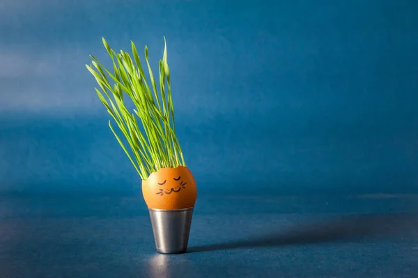 Los Brotes Trigo Verde Crecen Una Cáscara Huevo Con Dibujos — Foto de Stock