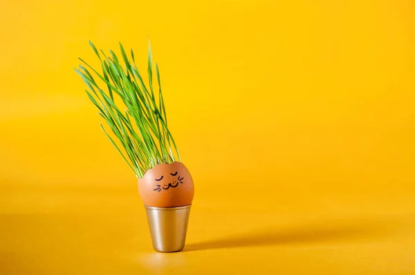 Los Brotes Trigo Verde Crecen Una Cáscara Huevo Con Dibujos — Foto de Stock
