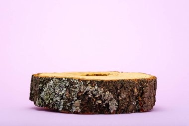 Modayı takip eden ahşap podyum, kabuk ile kesilmiş, güzellik ürünlerinin sunumu için eko sahnesi, kopyalama alanı