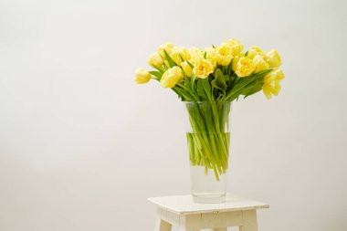 Sarı laleler cam vazoda, beyaz sandalyede, minimum yaşam, boşluğu kopyala